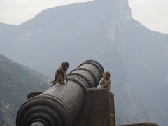 -白帝城·瞿塘峡景区
