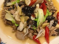 -圣厨牛腩(青春岛社区玉寿苑店)