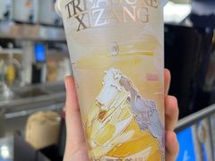 -淡马茶坊(深圳宝安壹方城店)