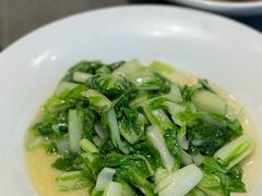 鸡毛菜-阿毛饭店(和义路店)