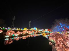 -淄博花灯齐彩城