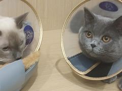 -美迦爱-牙专科·兔科·骨科诊疗中心(北苑店)