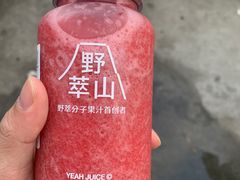 -野萃山·潮汕厚果汁(十亩地店)