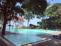 -卷心菜和避孕套餐厅(Pattaya)
