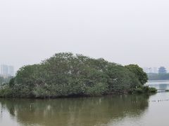 -海珠湖公园