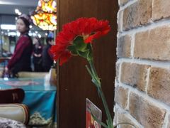 -巴依老爷新疆美食(昌平店)