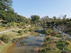 -东莞植物园