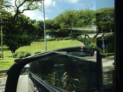 -圣淘沙天际线斜坡滑车