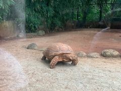 -海南热带野生动植物园