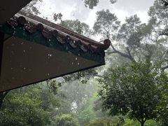 -九龙公园