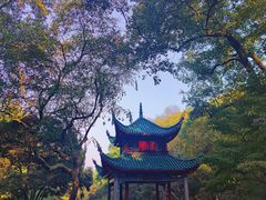 -岳麓山风景名胜区