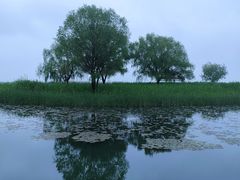 -苏州太湖湖滨国家湿地公园