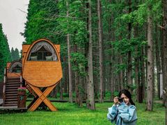 -黄海国家森林公园