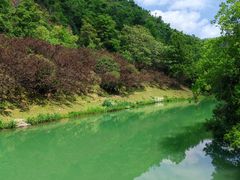 -桃花岭景区