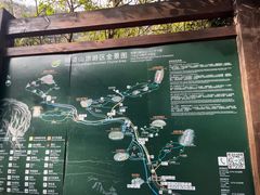 -姑婆山旅游区