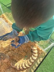 -可可天空农场(中大店)