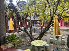 -宫事颐庭·老佛爷贵寿下午茶(颐和园店)