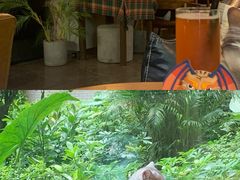 -咖法森林·咖啡  酒吧(天河店)