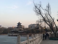 -迎泽公园