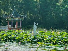 -青龙山国家森林公园