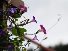 -北京十三陵国家森林公园蟒山景区