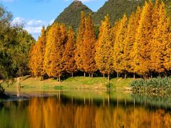 -贵阳市花溪国家城市湿地公园