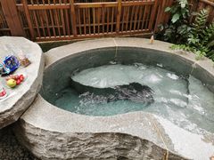-庐山上汤温泉度假村