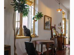 -春风十里咖啡馆