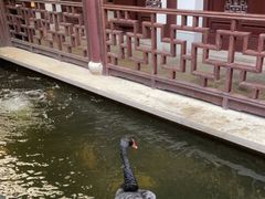 -湖鲜楼