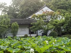 -上海醉白池公园