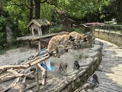 -宁波野生动物园