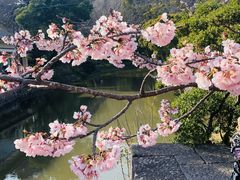 -鹤冈八幡宫