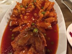 松鼠鳜鱼-青年公社烤鸭(蜀山万象汇店)