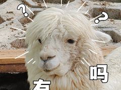 -北京鹿世界主题园