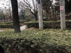 -尤素福东举院饺子馆