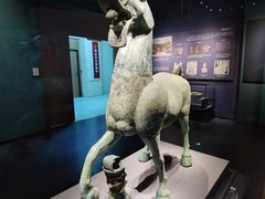 -广西壮族自治区博物馆