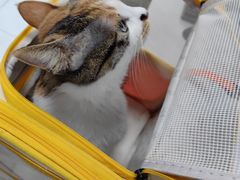 -嘉馨宠物医院·CT影像转诊·心脏科·犬猫全科诊疗中心(下沙大学城院区)
