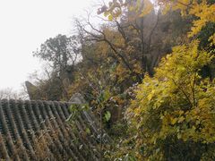 -北京鹫峰国家森林公园