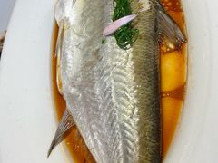 -醉庐·新上海菜(南京西路店)