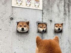 -锡笼记·无锡小笼(新明路店)