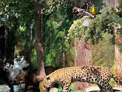 -重庆中国三峡博物馆(重庆博物馆)