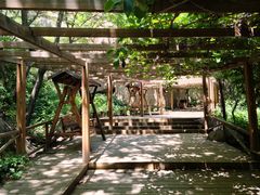-大岭沟猕猴桃谷风景区