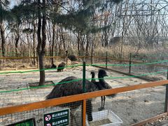 -沈阳鸟岛