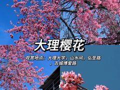 -大理.老字号渝记酸萝卜乌鱼(古城总店)