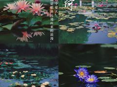-国家植物园
