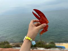 -七鲜渔港美食餐厅(巽寮湾海景店)
