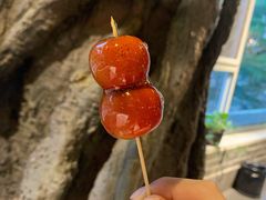 -北平印象.北京烤鸭.新京菜.融合菜(世贸店)