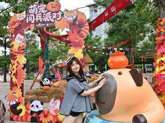 -灵玲国际马戏城