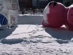-沈阳奥体冰雪嘉年华