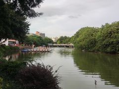-海珠湖公园